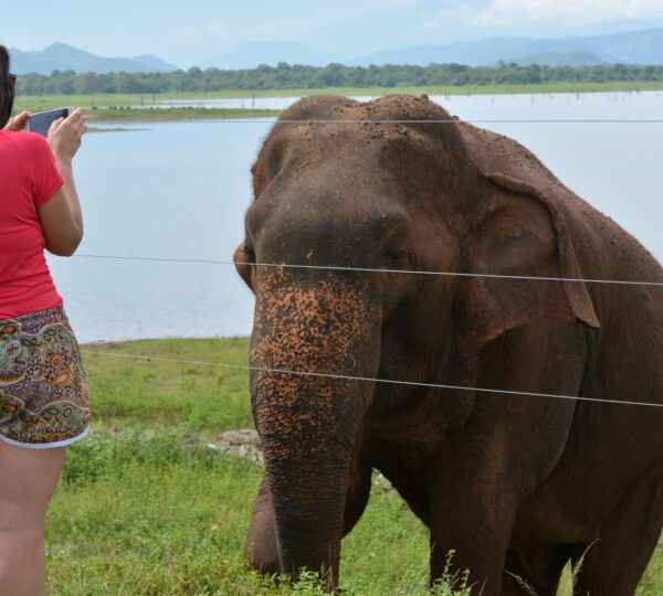 0b49a2e5-ec83-496a-a5ec-729190970c5e