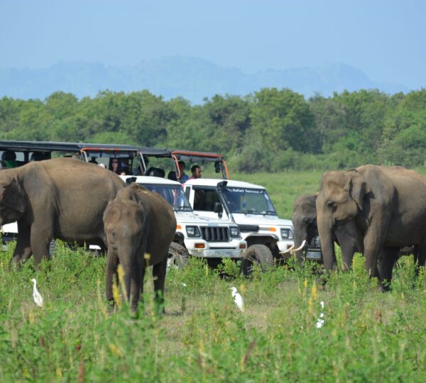 38e0e5b2-9ccb-4dbc-9a3d-01840f41ebfe